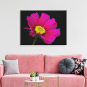 Cosmos Flower Canvas Print Leinwanddruck (Insitu (Wohnzimmer))