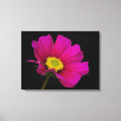 Cosmos Flower Canvas Print Leinwanddruck (Vorderseite)
