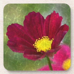 Cosmos Glory Untersetzer