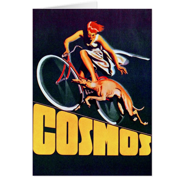 Cosmos Greyhound Fahrrad (Vorne)