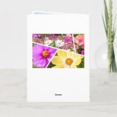 Cosmos Karte (Rückseite)