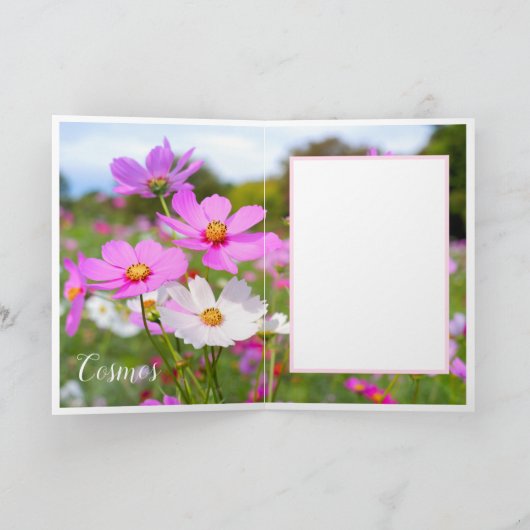 Cosmos Karte (Innenseite)