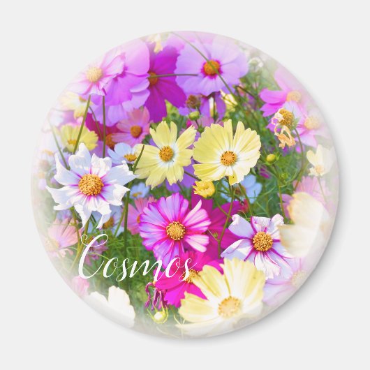 Cosmos Magnet (Vorne)