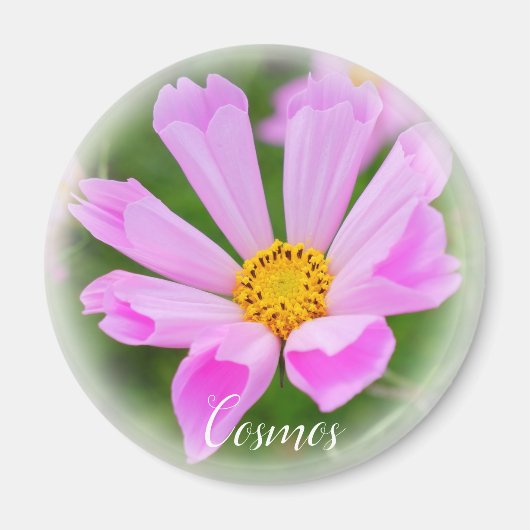Cosmos Magnet (Vorne)
