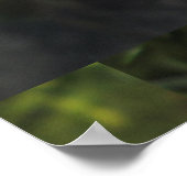 Cosmos Pink-Blume Poster (Ecke)