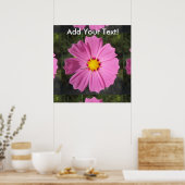 Cosmos Pink-Blume Poster (Küche)