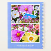 Cosmos Planer (Rückseite)