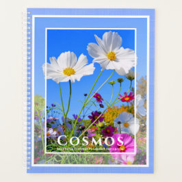 Cosmos Planer