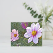 Cosmos Postkarte (Stehend Vorderseite)