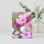 Cosmos ［ Postkarte ］ (Stehend Vorderseite)