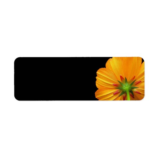 Cosmos-Rücksendeadressen-Aufkleber (Vorne)