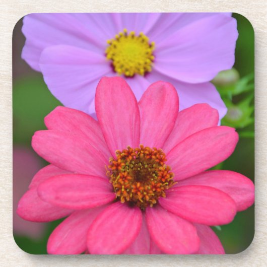 Cosmos und Zinnia-Blumendruck Untersetzer (Vorderseite)