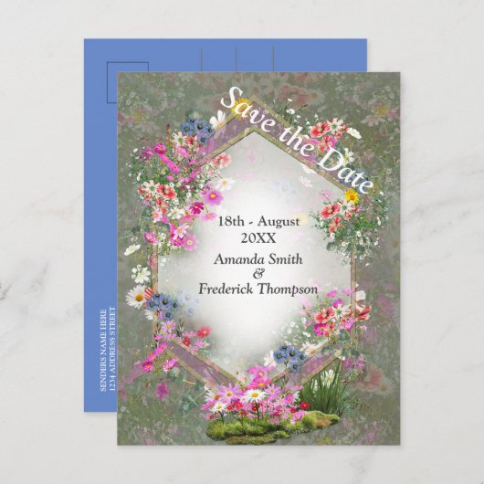 Cosmos Wilderness Wild-Blume Ankündigungspostkarte (Vorne/Hinten)