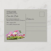 Cosmos Wilderness Wild-Blume Ankündigungspostkarte (Rückseite)