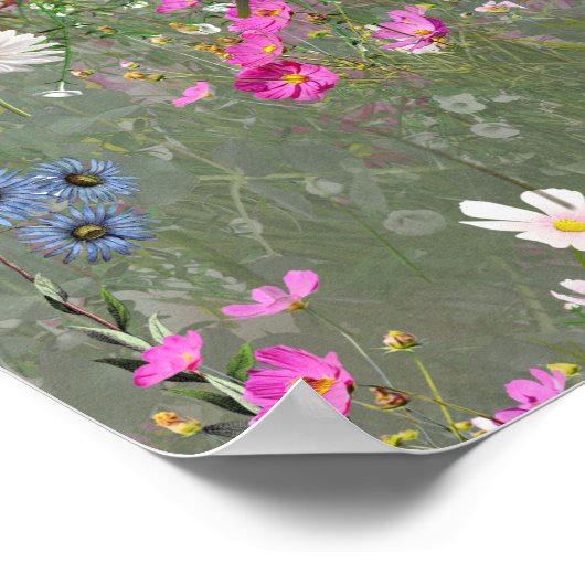 Cosmos Wilderness Wild-Blume Poster (Ecke)