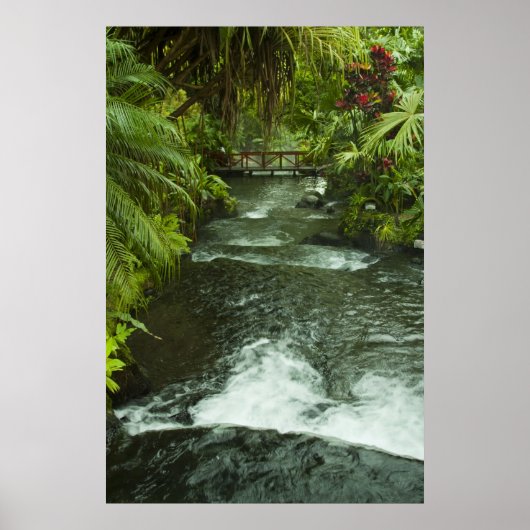 Cosra Rica Dream Poster (Vorne)