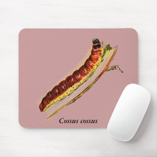 Cossus cossus Raupe Mousepad (Mit Mouse)