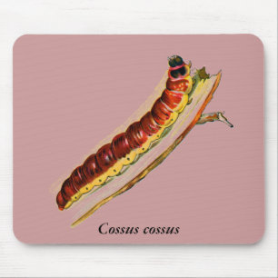 Cossus cossus Raupe Mousepad