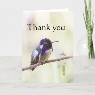 Costa gehockt auf einer Niederlassung, danke