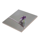 Costa-Kolibri Fliese (Seite)