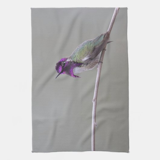 Costa-Kolibri Geschirrtuch (Vertikal)