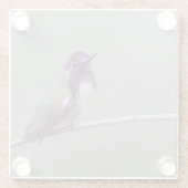 Costa-Kolibri Glasuntersetzer (Rückseite)