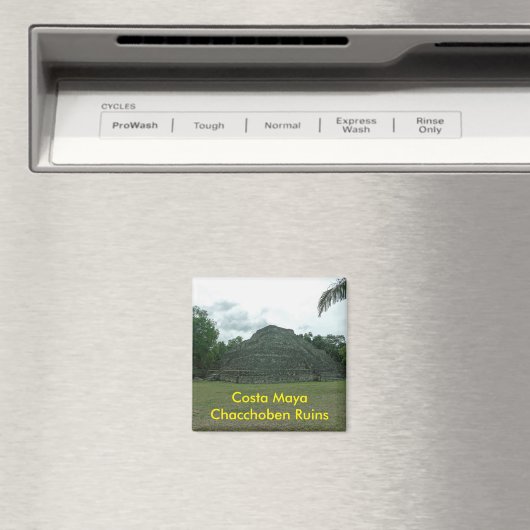 Costa Maya Chacchoben Ruins, Mexiko Magnet (In Situ (Geschirrspüler))