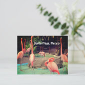 Costa Maya Mexico Postcard Postkarte (Stehend Vorderseite)