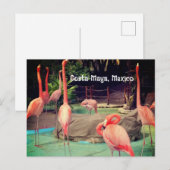 Costa Maya Mexico Postcard Postkarte (Vorne/Hinten)