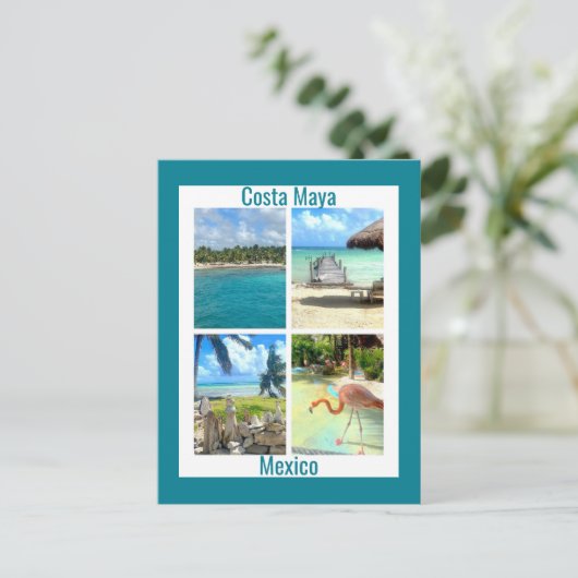 Costa Maya, Mexiko Postkarte (Stehend Vorderseite)