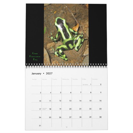 Costa Rica 2011 Kalender (Jan 2027)