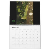 Costa Rica 2011 Kalender (Mär 2027)