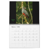 Costa Rica 2011 Kalender (Feb 2026)