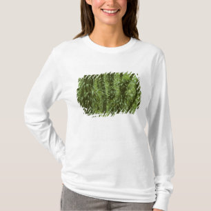 Costa Rica, Arenal-Nationalpark, Regenwald T-Shirt