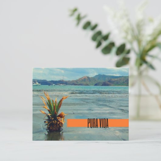 Costa Rica Beach Pura Vida Postcard Postkarte (Stehend Vorderseite)