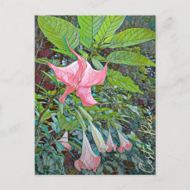 Costa Rica Blume Postcard Postkarte