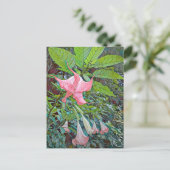 Costa Rica Blume Postcard Postkarte (Stehend Vorderseite)