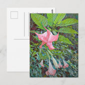 Costa Rica Blume Postcard Postkarte (Vorne/Hinten)