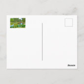 Costa Rica / Bontanical Park Postkarte (Rückseite)