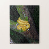 Costa Rica, Cahuita Nationalpark - Eyelash Viper Puzzle (Vertikal)