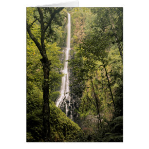Costa Rica, Cocos-Insel, Wafer Bay Wasserfall