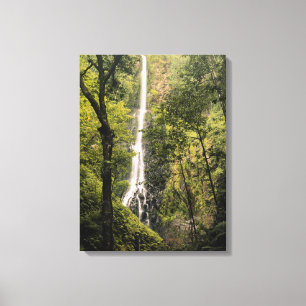 Costa Rica, Cocos-Insel, Wafer Bay Wasserfall Leinwanddruck