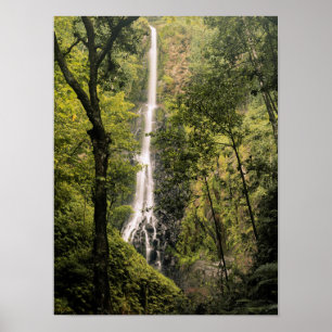 Costa Rica, Cocos-Insel, Wafer Bay Wasserfall Poster