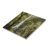 Costa Rica, Cocos Island, Wafer Bay Wasserfall Fliese (Seite)