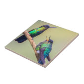 Costa Rica Colorful Hummingbird Coupe Fliese (Seite)