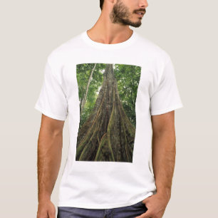 Costa Rica, Corcovado Nationalpark, Buttressed T-Shirt
