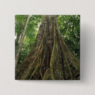 Costa Rica, Corcovado-Nationalpark, gestützt Button