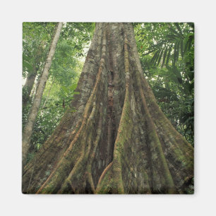 Costa Rica, Corcovado-Nationalpark, gestützt Magnet