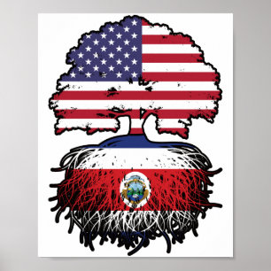Costa Rica Costa Rica USA Tree Roots Poster