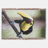 Costa Rica Decke (Vorderseite)